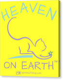 Cat/kitty Heaven On Earth - Canvas Print